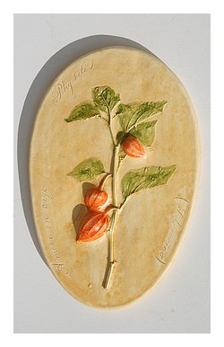 Physalis (Amour en cage )