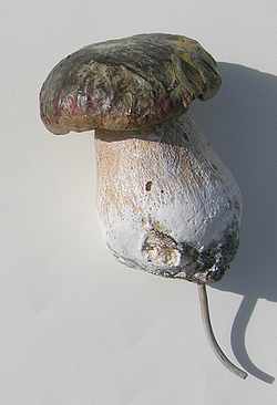 Bolet, cep de Bordeaux,décor champignon