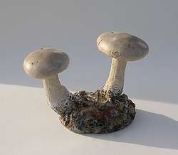Clitocybe nebuleux, statuette champignon gris