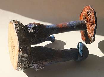 Figurine de Cortinarius violaceus