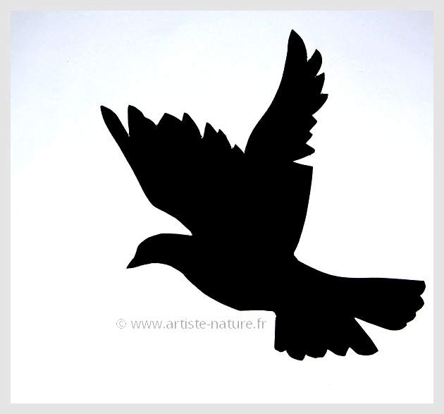 silhouette de colombe en vol