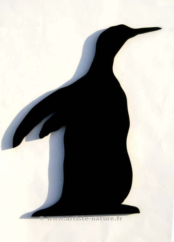 decor pingouin noir repositionnable