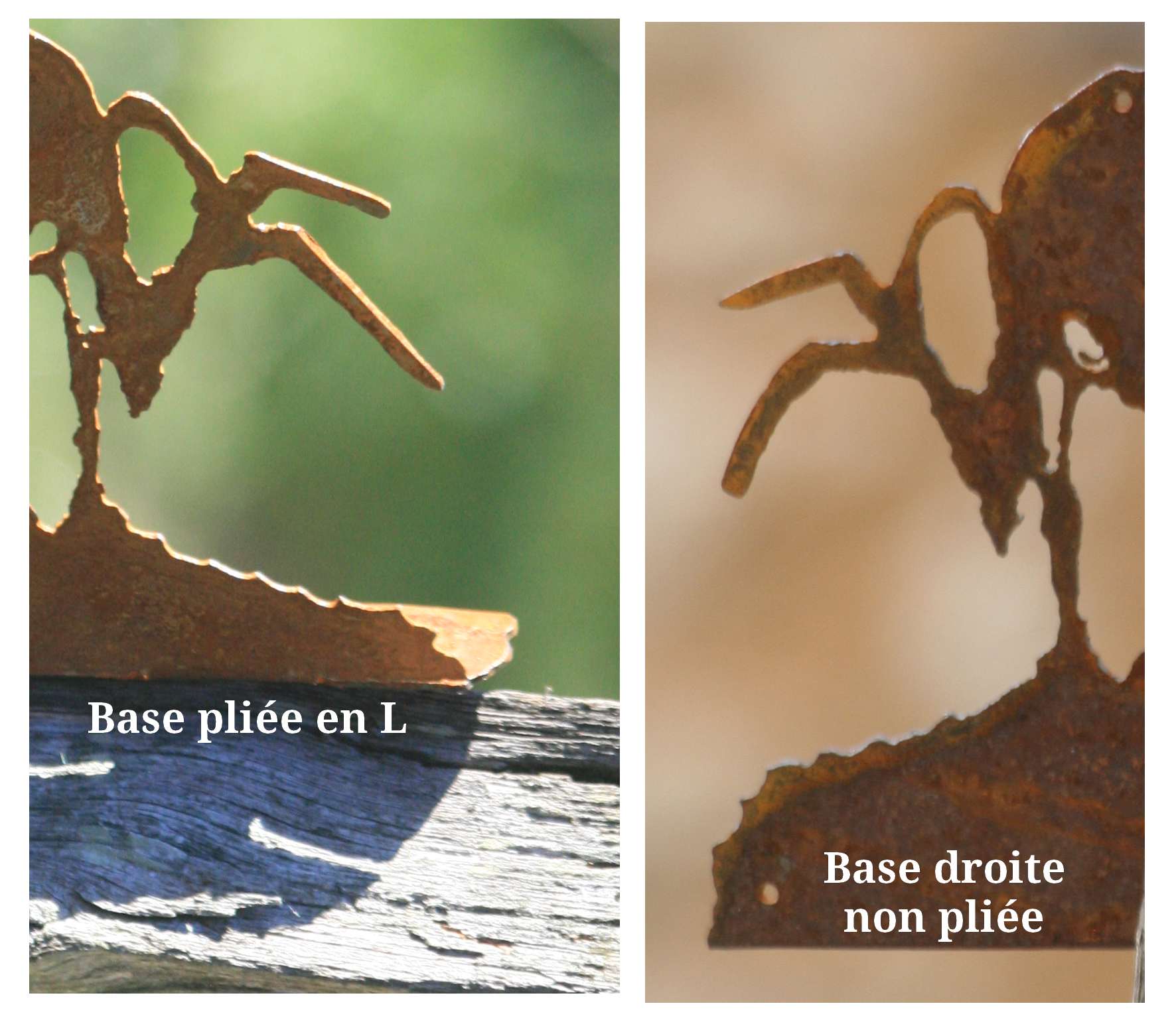 Détail du décor abeille en acier corten 1,5mm.