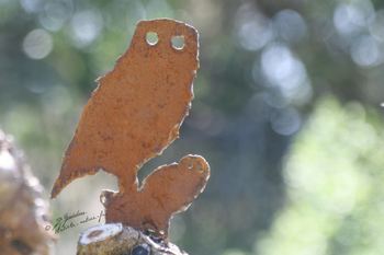 Chouette chevêche en acier corten