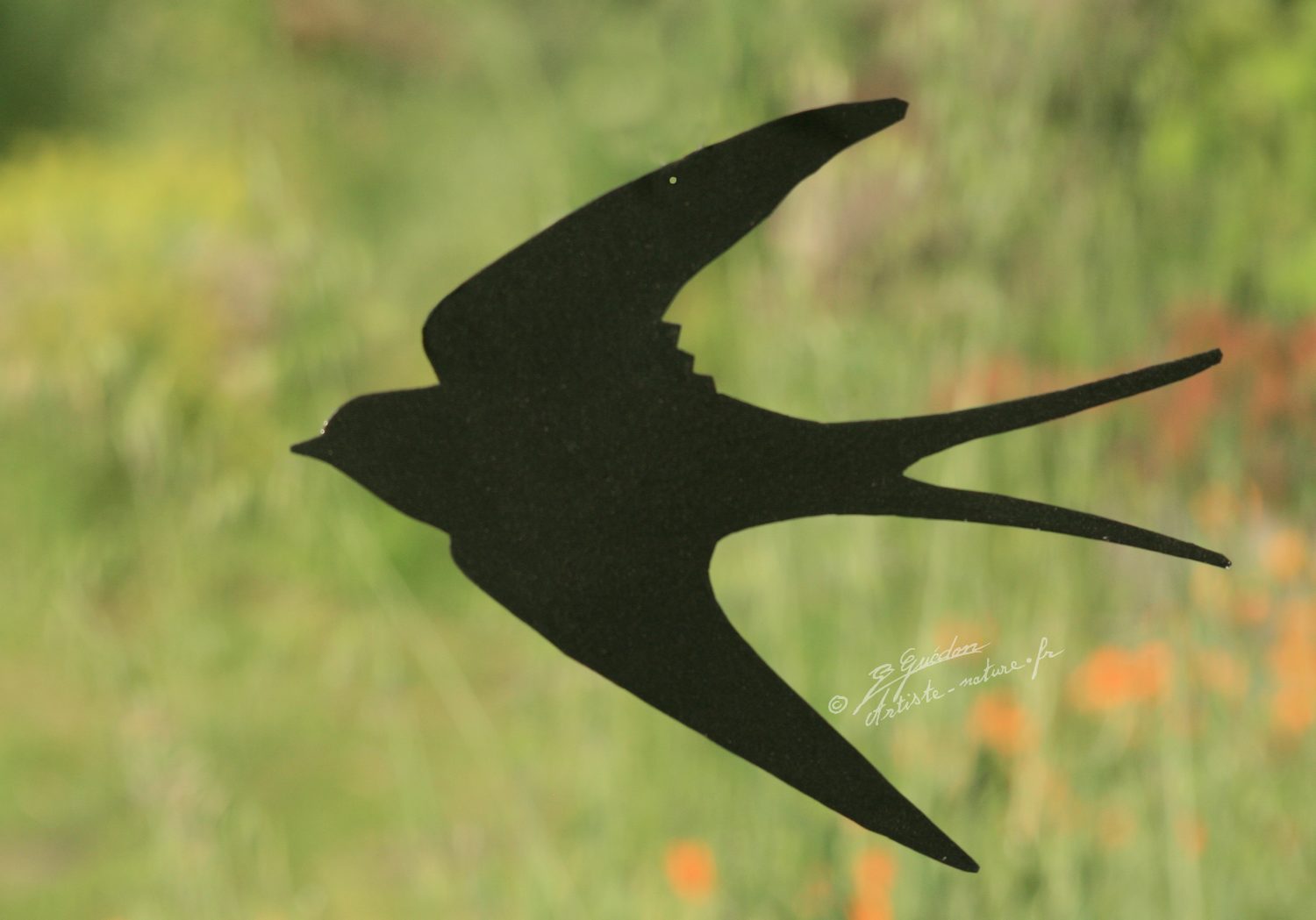 Déco Hirondelle en vol en acier noir