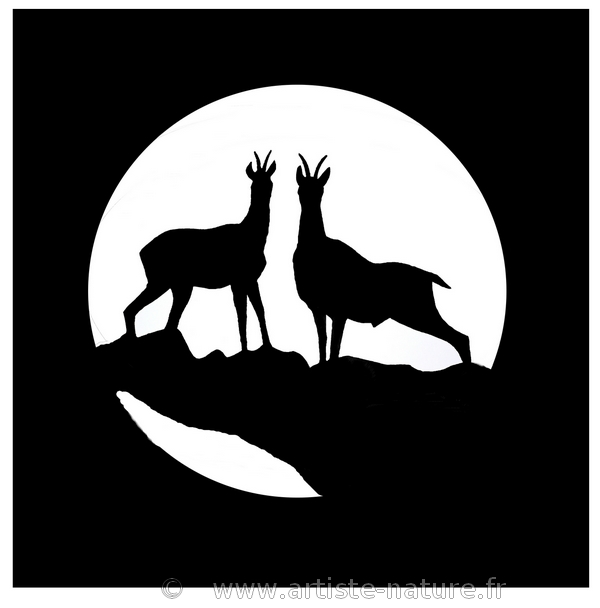 Silhouette chamois sur fond de lune en acier