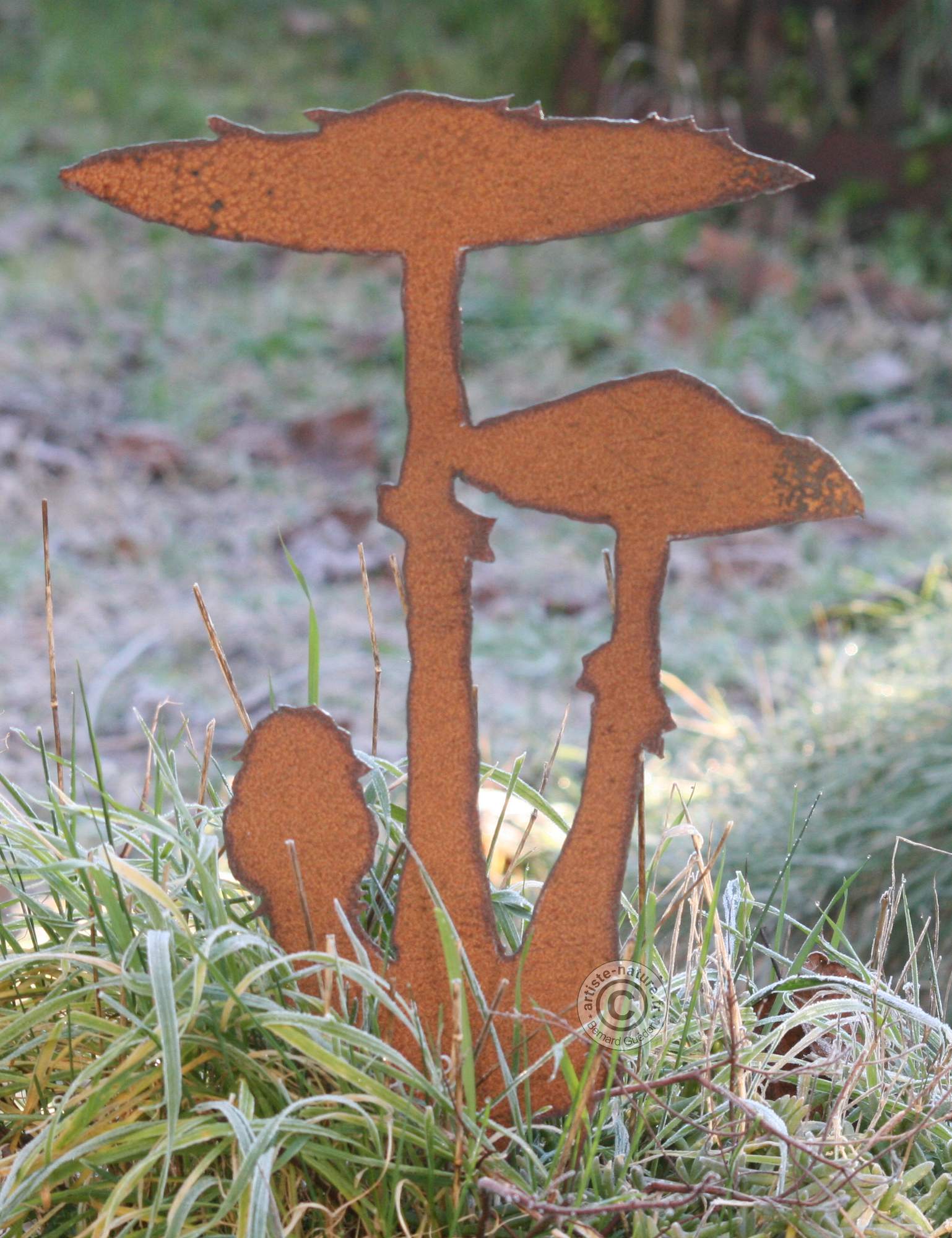Lépiote élevée en acier corten ou acier noir Lépiote élevée en acier corten ou acier noir