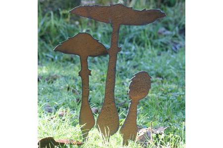 Silhouette champignons , Lepiotes en acier rouillé ciré