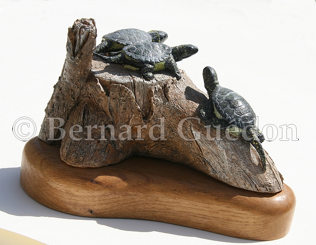 Sculpture de tortues cistudes, Bernard Guédon