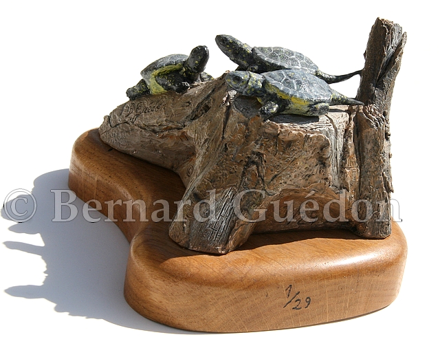 Sculpture de bébés tortues cistudes, sculptées par Bernard Guédon